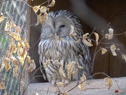 Tiergarten Schönbrunn am 23.03.2023